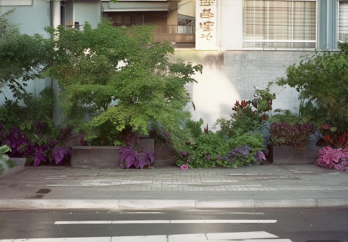 运动基因对决：拉玛西亚传控哲学与阿贾克斯青训营全攻全守的足球烙印